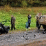 ДТП1 - ParmaNews.Ru