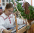Лён вежалун - ParmaNews.Ru