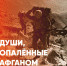 Выставка «Души, опаленные Афганом» к 35-летию вывода советских войск из Афганистана - Краеведческий музей