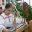 Лён вежалун - ParmaNews.Ru