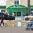 весна март 2025 - ParmaNews.Ru