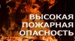 Ограничение пребывания граждан в лесах Кудымкарского лесничества