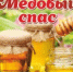 О проведении ярмарки "Медовый спас" - Город Кудымкар
