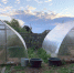Парник - ParmaNews.Ru