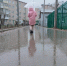 дождь - ParmaNews.Ru
