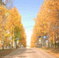 осень - ParmaNews.Ru