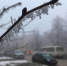 Изморозь ноябрь - ParmaNews.Ru