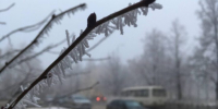 Изморозь ноябрь - ParmaNews.Ru