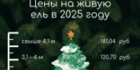 Кудымкарское лесничество  рассказывает о вариантах заготовки елей или деревьев других хвойных пород для новогодних праздников для жителей Кудымкарского муниципального округа - Город Кудымкар