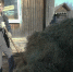 волонтёр - ParmaNews.Ru