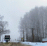 Зима мороз - ParmaNews.Ru