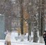 Снег - ParmaNews.Ru