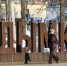 март-2026 - ParmaNews.Ru
